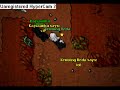 Desert quest