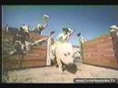 WLS Musicradio 89 - Larry Lujack - 'Animal Stories' (1980)