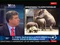 Victor-Manea-PNL