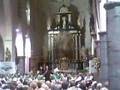 Stabroek 750 Jaar - Sammy