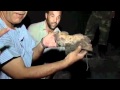 View Video