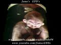 Hybrid Alien or Extraterrestrial Intelligent clone