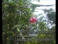 ARTE CINEP ECOBARRIO