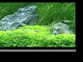 Practical Fishkeeping: George Farmer\ Practical Fishkeeping: George Farmer\