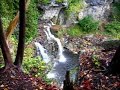 Grey County Waterfalls Grey County Waterfalls