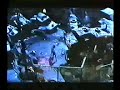 ULTIMATE Cat Vs. Dog FIGHT scene VERY FUNNY