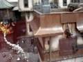 videos de War of Warmachine