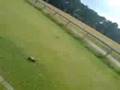CHASING DEER !!!