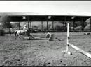 megie jumping megie jumping