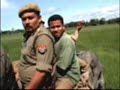 Kaziranga National Park -Tiger Attack