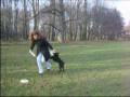 videos de Kali i frisbee (video 3).wmv