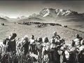 Amanecer : Vidala para mi sombra Amanecer : Vidala para mi sombra