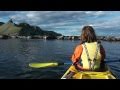 Playful Seals swim around Kayakers