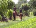 videos de Lits+Lauwers034 It-Leech01