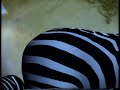 Diema 2 ID - Addicted 2 Life - Zebra