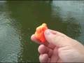 will it float? - orange play-doh
