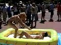 Girls Wrestling