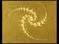 Cropcircles Cropcircles