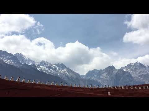 動画