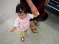 videos de Meigan Walking