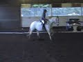 FLECK Prelim 1 Dressage @ Moorhouse Equestrian Centre