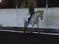 FLECK Prelim 1 Dressage @ Moorhouse Equestrian Centre