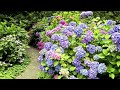 Música: Gustav Mahler, Symphony 02 - Nicht eilen. Sehr gem&auml;chlich