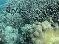 Bunaken Bunaken