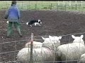 Topic herding 14 mos, part 2