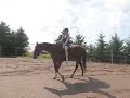 Bareback Sinanigans