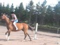 Bareback Sinanigans