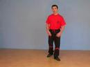 Dragos WT: WT-Grundlagen (Bong-Gerk Variation)