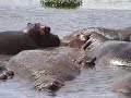Traveling in Tanzania - Ngorongoro