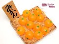 Juicy Tomato toys from Japan Juicy Tomato toys from Japan