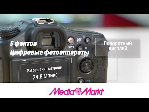Зеркальный фотоаппарат для начинающих как выбрать 2018 Зеркальный фотоаппарат для начинающих как выбрать 2018