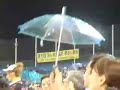 Swallows fans - Umbrellas
