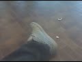 JonGetsSacked! - First Person View