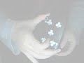 Ellusionist Viper Deck Review/Preview - by Vincent