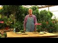 Organic Fertilizing : Organic Materials in Soil Organic Fertilizing : Organic Materials in Soil