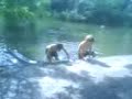 swimming :P after school