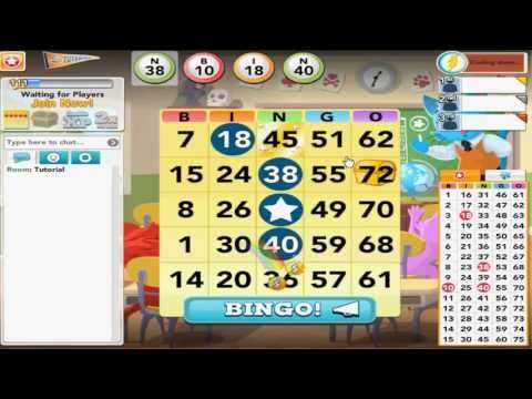 how to play a bingo