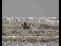 Kayak de mer