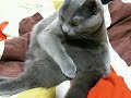 なめなめユッケさん