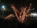 Navidad en el parque de SanCri.wmv