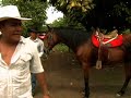 NNN AD AGAPITO ADIESTRADOR DE CABALLOS