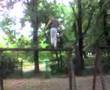 Extremalne sporty View Video