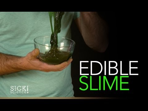 SteveSpanglerScience - Find out how this awesome slime works here: http://www.stevespanglerscience.com/lab/experiments/edible-slime Allergy Alert: This product may cause allergic r...