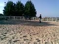 gooood lunge with jasper