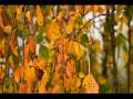 Canon ef 70-200 F4-L - Sample Pics