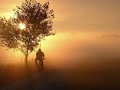 Dert yine dert, bıktım sendenGit hadi git koptuk zatenHer sebebin bendim mademNeden sustun, nedenOlanlar oldu, yakalandıkFırtınadan yara aldıkOlanca sevda bir kalemdeSilinip gittiYıllarca aynı rol, aynı perdeYıllarca aynı ev aynı yerdeSevdim de katlandım bunca derdeAma çok yanlıştıAdı yanlış aşktıAma suç hep bende